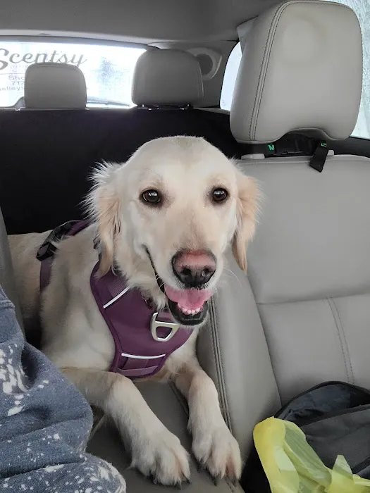 Elk Creek Animal Hospital Picture 3