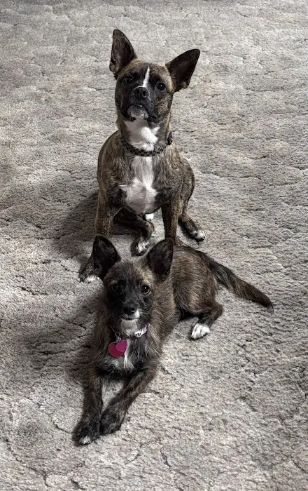 Elk Creek Animal Hospital Picture 7