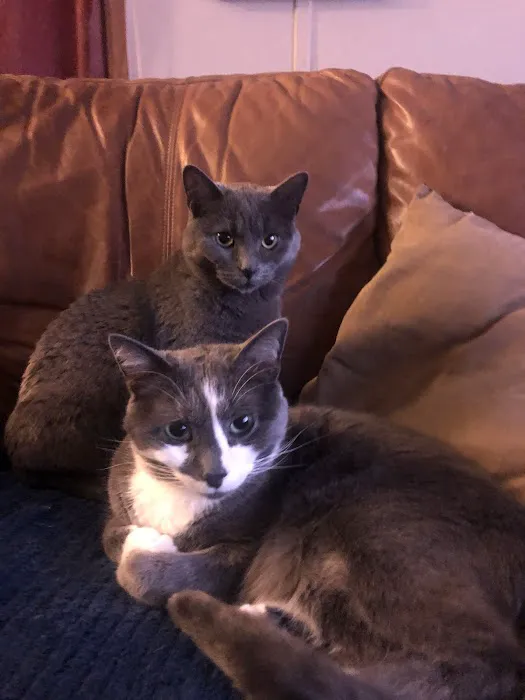 Elk Creek Animal Hospital Picture 8