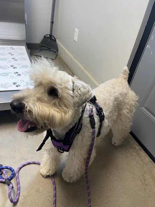 Elk Creek Animal Hospital Picture 6