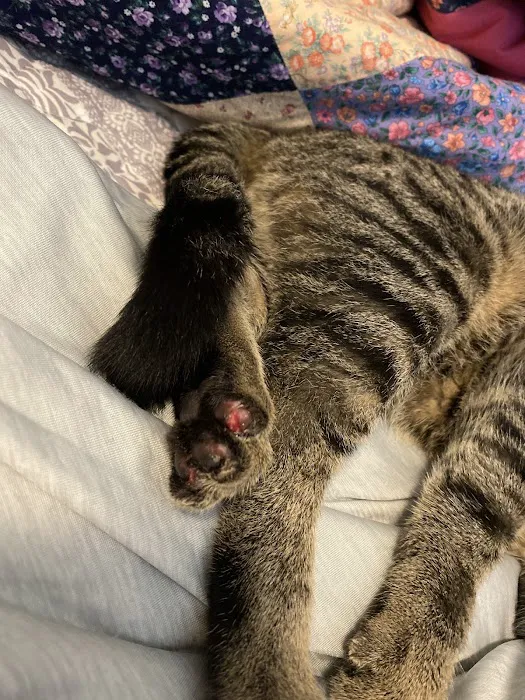 Elk Creek Animal Hospital Picture 9