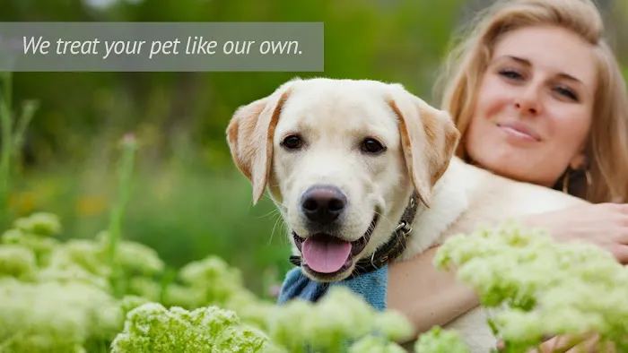 Elk Creek Animal Hospital Picture 10