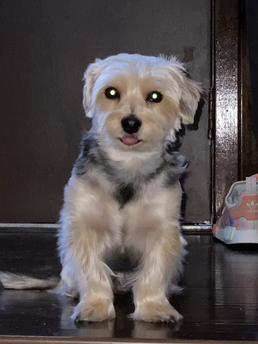 Lakeport Veterinary Hospital Picture 2