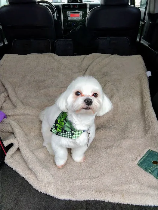 Lakeport Veterinary Hospital Picture 1