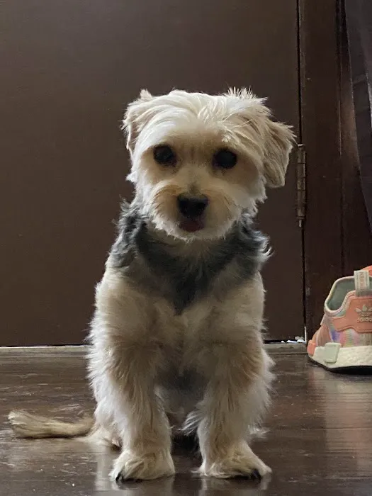 Lakeport Veterinary Hospital Picture 3