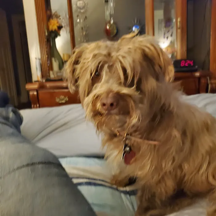 Lakeport Veterinary Hospital Picture 7