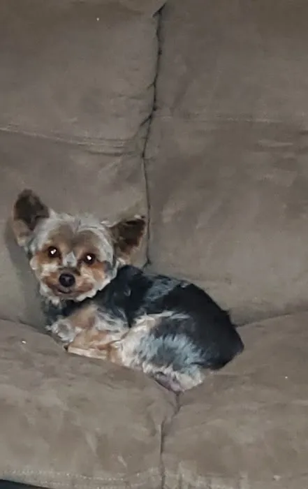 Lakeport Veterinary Hospital Picture 8