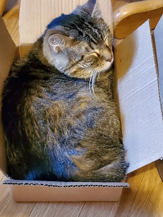 Lakeport Veterinary Hospital Picture 6