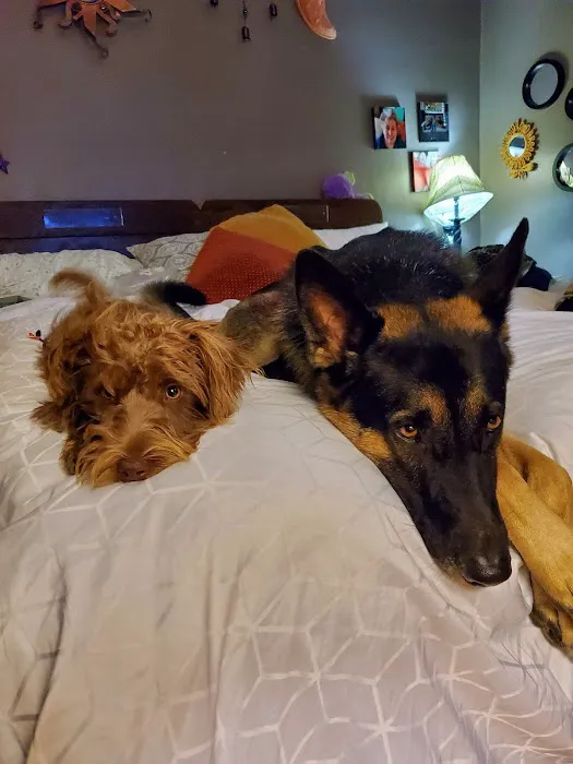 Lakeport Veterinary Hospital Picture 9