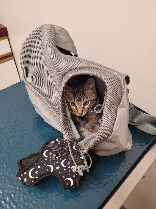 Siouxland Animal Hospital Picture 1