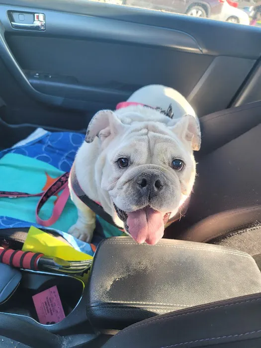 Siouxland Animal Hospital Picture 2