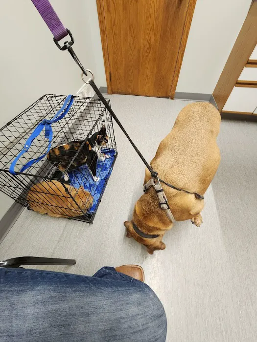 Siouxland Animal Hospital Picture 8