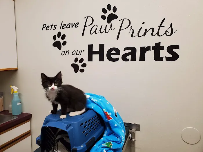 Siouxland Animal Hospital Picture 4