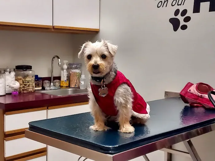 Siouxland Animal Hospital Picture 7