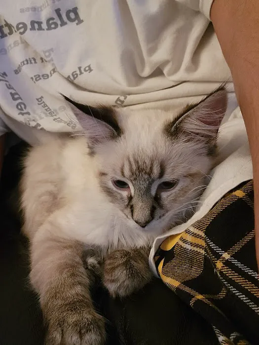 Siouxland Animal Hospital Picture 3