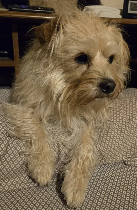 Siouxland Animal Hospital Picture 9