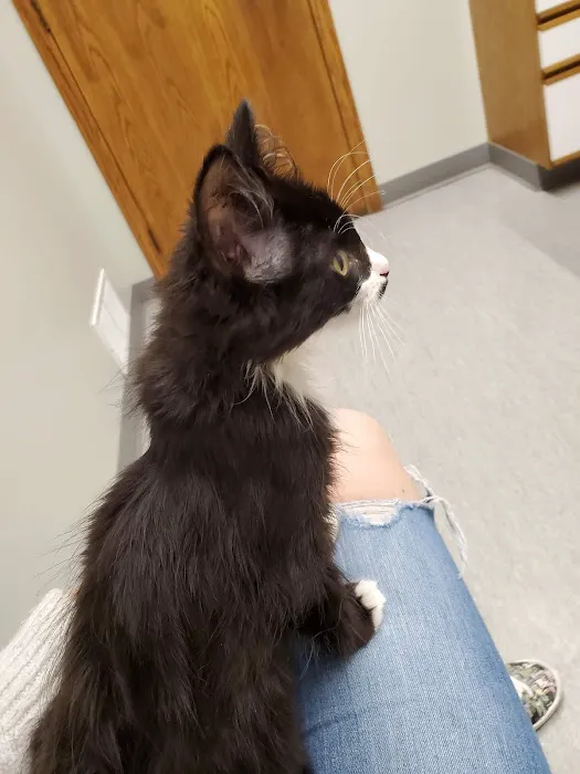 Siouxland Animal Hospital Picture 10