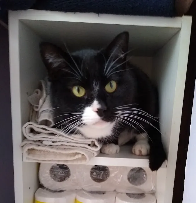 Siouxland Animal Hospital: Merritt S C DVM Picture 3