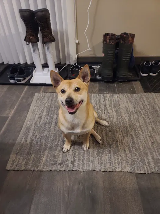 Siouxland Animal Hospital: Merritt S C DVM Picture 5