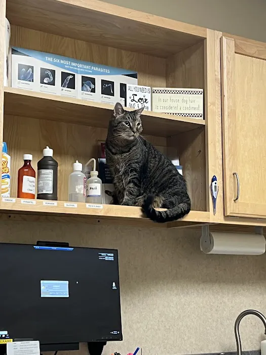 Family Pet at Perry Creek Picture 1