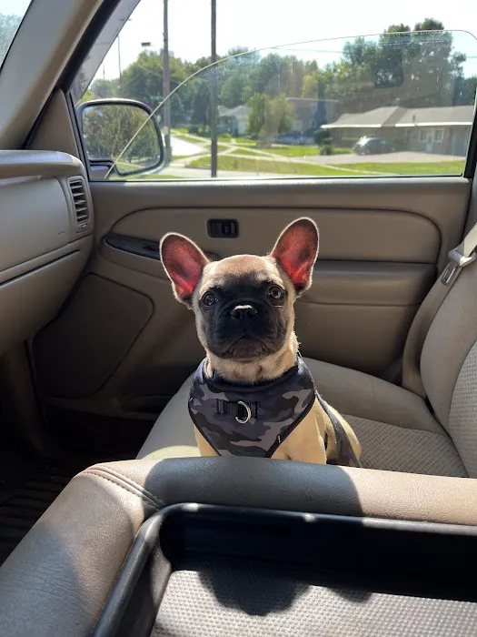 Family Pet at Perry Creek Picture 3