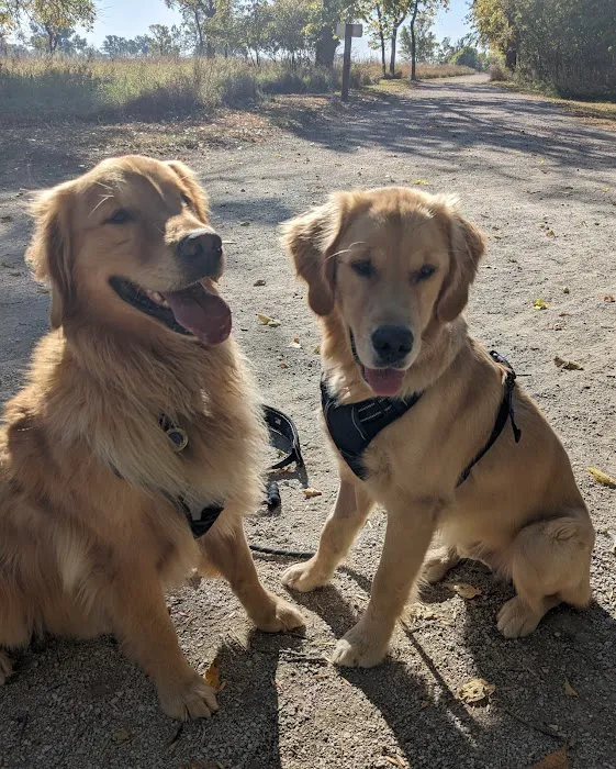 Family Pet at Perry Creek Picture 4