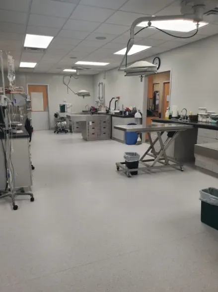 Family Pet at Perry Creek Picture 9