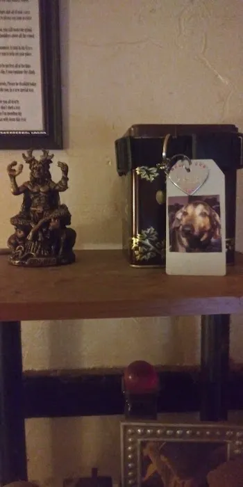 Perry Creek Animal Hospital: Kranz Shelly DVM Picture 3