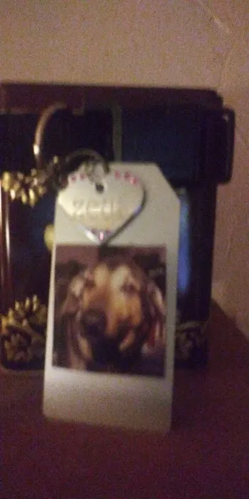 Perry Creek Animal Hospital: Kranz Shelly DVM Picture 1