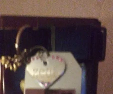 Perry Creek Animal Hospital: Kranz Shelly DVM