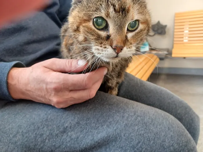 Perry Creek Animal Hospital: Kranz Shelly DVM Picture 2