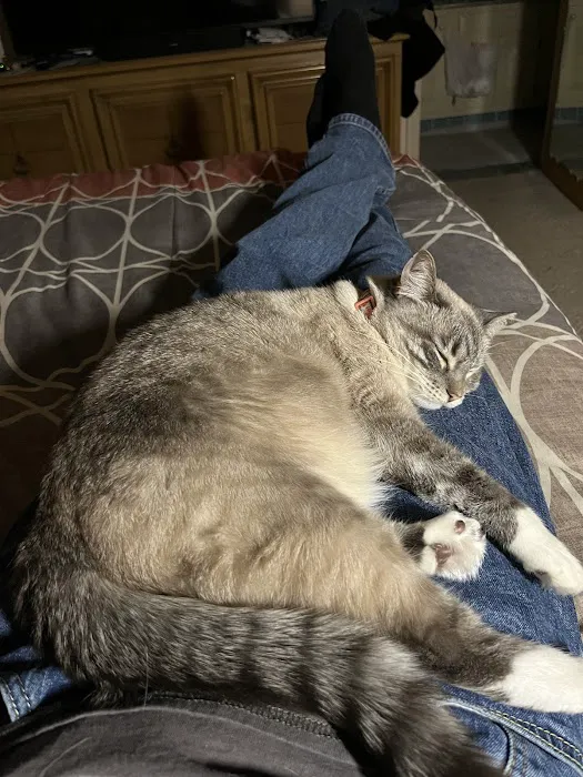 Perry Creek Animal Hospital: Kranz Shelly DVM Picture 5