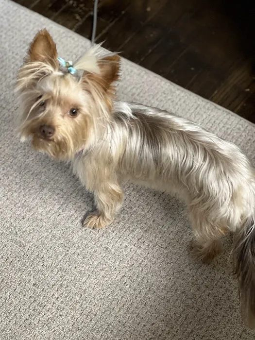 South Sioux Animal Hospital Picture 1