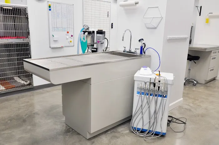 South Sioux Animal Hospital Picture 7