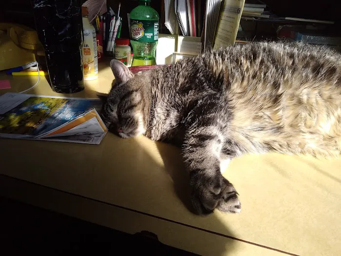 West Sioux Veterinary Clinic Picture 4