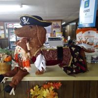 West Sioux Veterinary Clinic ico