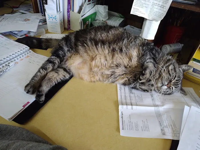 West Sioux Veterinary Clinic Picture 2