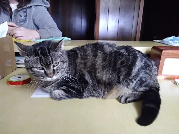 West Sioux Veterinary Clinic Picture 5