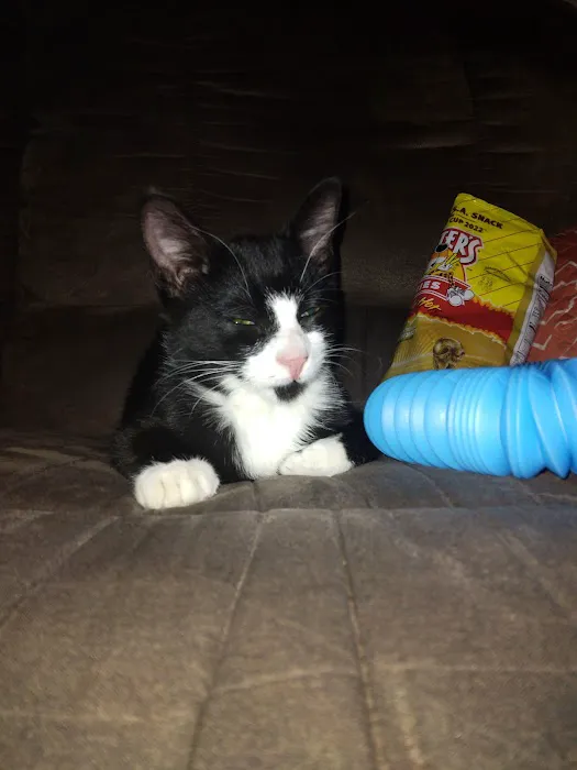 West Sioux Veterinary Clinic Picture 6