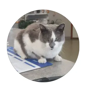 Sibley Veterinary Clinic Picture 1