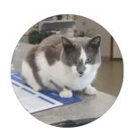 Sibley Veterinary Clinic