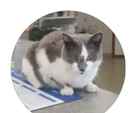 Sibley Veterinary Clinic