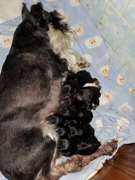 Sibley Veterinary Clinic Picture 2