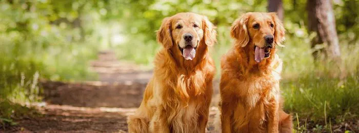 Sibley Veterinary Clinic Picture 5