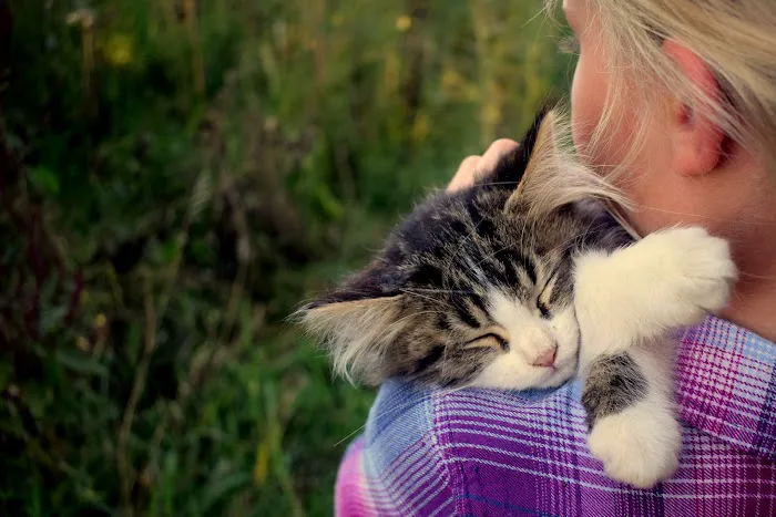 Green Pasture Pet Vet, LLC Picture 1