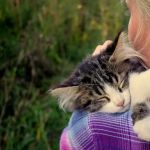 Green Pasture Pet Vet, LLC