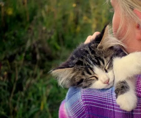 Green Pasture Pet Vet, LLC