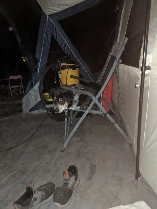 Animal Medical Centers Picture 1