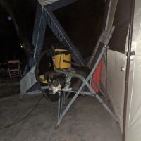 Animal Medical Centers ico