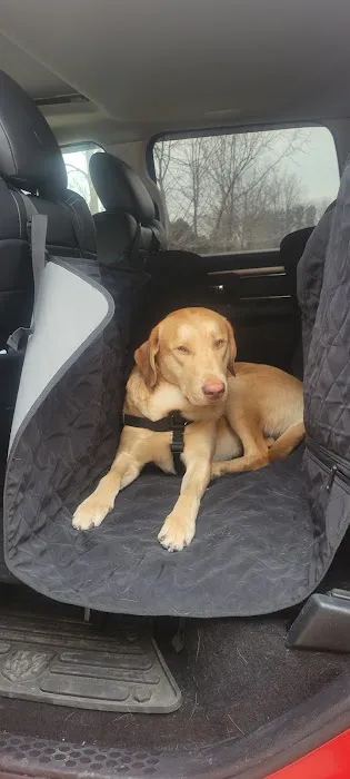 Companion Animal Clinic Picture 1